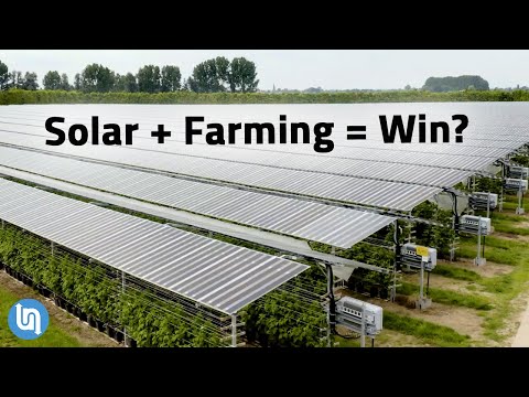 Solar Panels Plus Farming? Agrivoltaics Explained